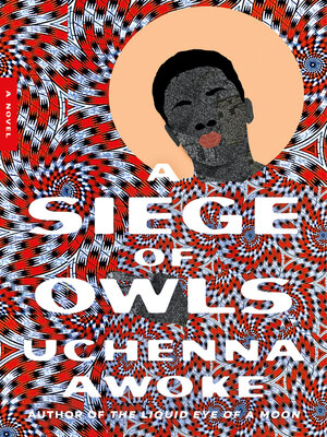 cover image of A Siege of Owls